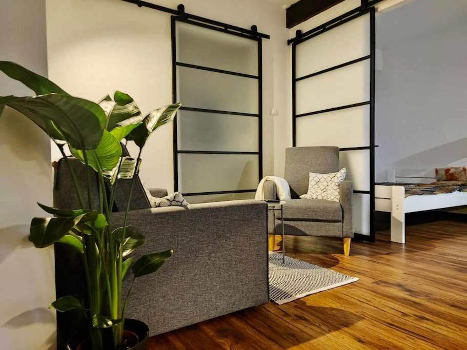 Loft W Starej Wozowni Apartment Krynica Zdroj Bagian luar foto